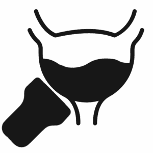 Bladder Ultrasound Scanners